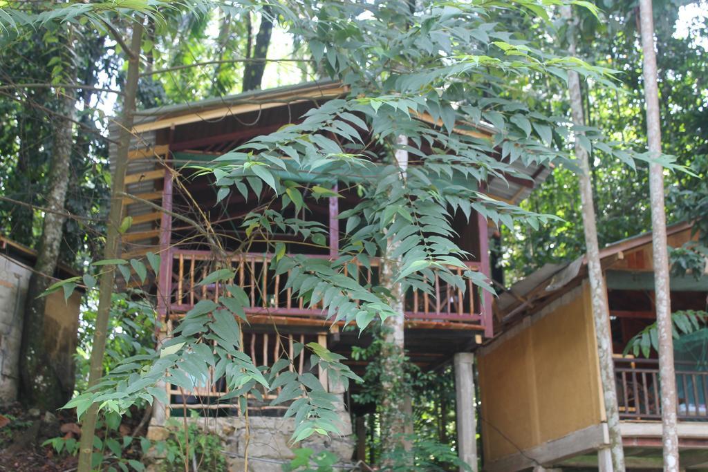 Hotel Rafters Retreat à Kitulgala Extérieur photo